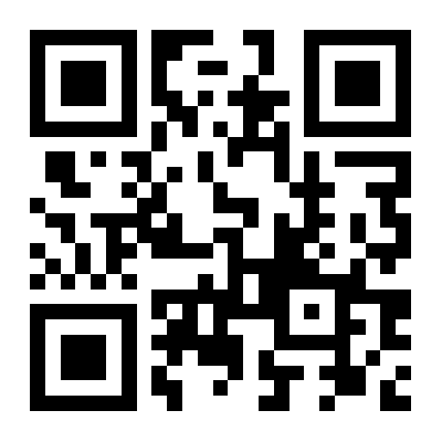 the qr code